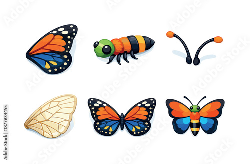 Butterfly Anatomy Icons. Butterfly anatomy. Isometric flat vector icons set of Butterfly anatomy: butterfly wing pattern, butterfly body segments, antennae