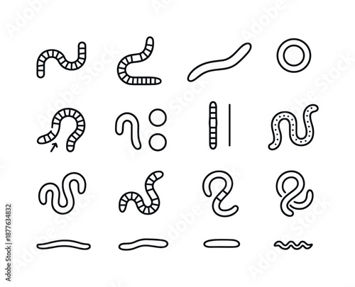 Worm Icons Collection. Worms. Line icon set of worm species features: segmented body, tapered end, clitellum band, smooth skin texture, circular mouth opening,