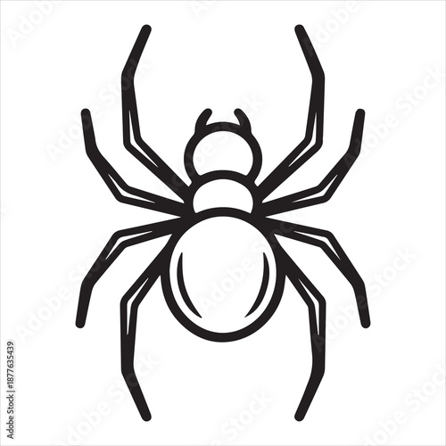 spider on a white background silhuette