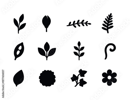 Botanical Icon Set. Botanical design elements. Solid icon set of botanical design elements: leaf sprig, flower bud, branch line, fern frond, seed pod, leaf