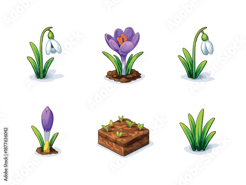Snowdrop Crocus Icons. Snowdrop & Crocus Icons. Isometric flat vector icons set of Snowdrop & Crocus Icons: snowdrop flower bloom, crocus flower bloom,