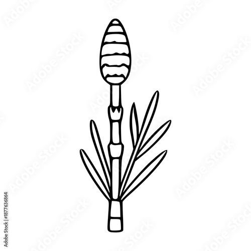 Whimsical vector illustration of a horsetail plant, isolated on white, with a segmented stem and cone-like spore-bearing head.
