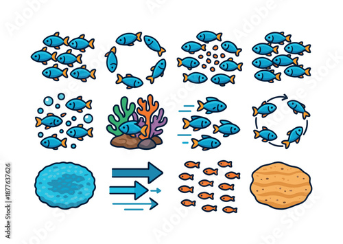 Colorful Fish Behavior Icons. Fish Behavior. Colorful isometric vector icons set of Fish Behavior: group cohesion icon, turning school, feeding cluster,