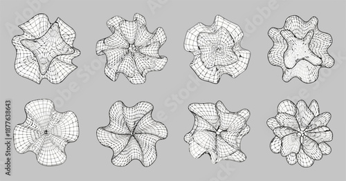 Abstract 3D Wireframe Organic Forms Geometric Black and White Computational Design.eps