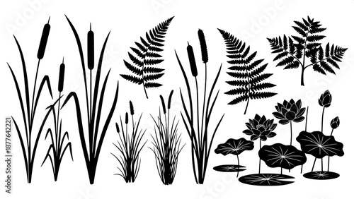 “Aquatic plant silhouettes collection, cattail reeds, swamp grass, fern leaves, lotus pond, black ink vector, clean white background”