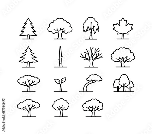 Tree Silhouette Icons. Tree Silhouettes. Line icon set of Tree Silhouettes: pine tree, oak tree, birch tree, maple tree, cedar tree, slender trunk, branching