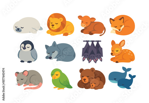 Animal Sleep Icons. Animal Sleep. Colorful flat vector icons set of Animal Sleep: sleeping baby seal, slumbering lion, resting calf, curled fox, dozing penguin