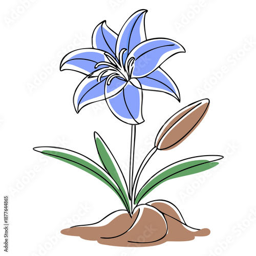 Blue lily flower illustration with green leaves and soil  