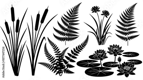 “Set of aquatic plant silhouettes, cattails, ferns, water lilies, monochrome black, simple vector illustration”