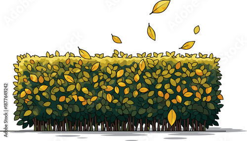 Create a realistic Hedge in autumn with some yellow leaves, vector art with white background..
