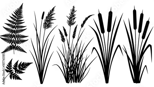 “Botanical silhouettes set, wetland flora, fern, grass, cattails, high contrast black and white vector”
