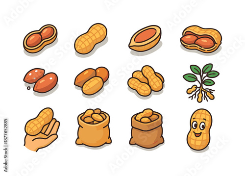 Peanut Icon Collection. Peanuts. Colorful isometric vector icons set of peanuts: shelled peanut, unshelled peanut, peanut half, peanut shell cracked, salted