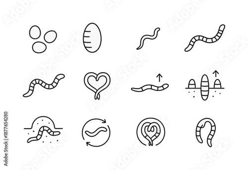 Worm Lifecycle Icons. Worms. Line icon set of worm lifecycle: worm egg, cocoon, tiny hatchling worm, juvenile worm, adult worm, mating symbol, regeneration