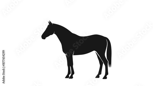 Elegant black horse silhouette vector illustration.