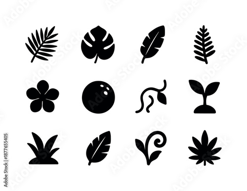 Tropical Plant Icons. Tropical plants. Solid icon set of tropical plants: palm leaf, monstera leaf, banana leaf, fern frond, tropical flower, coconut icon,