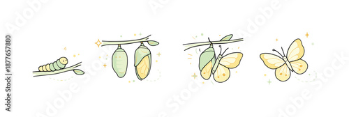 Butterfly Transformation Art. Butterflies transformation illustration. Minimal depiction of butterflies in different stages of emerging, gentle storytelling