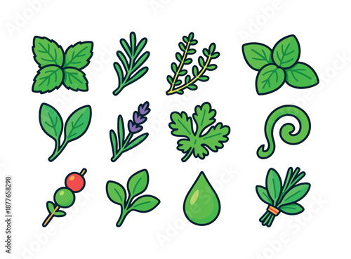 Herbal Icon Grid. Herbal accents. Colorful isometric vector icons set of Herbal accents: mint leaves, rosemary sprig, thyme garnish, basil leaf, sage stem,