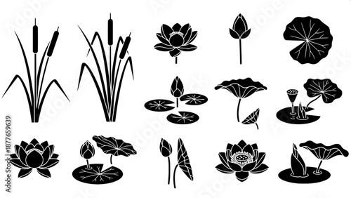 “Marshland plant silhouettes, botanical vector icons, cattail grass, lotus pond, clean flat design”