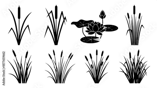 “Marshland plant silhouettes, botanical vector icons, cattail grass, lotus pond, clean flat design”
