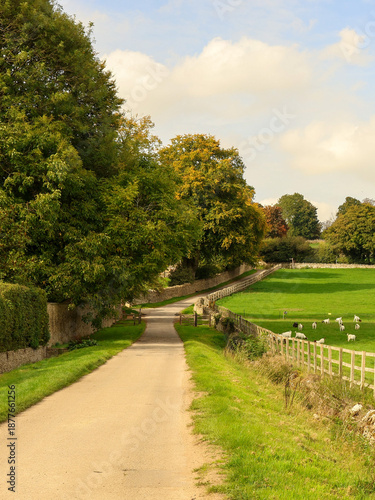 Countryside road winding through green fields with grazing sheep and ancient stone walls, illustrating rural English life