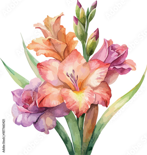 Colorful Gladiolus Bouquet – Floral Watercolor Vector Illustration