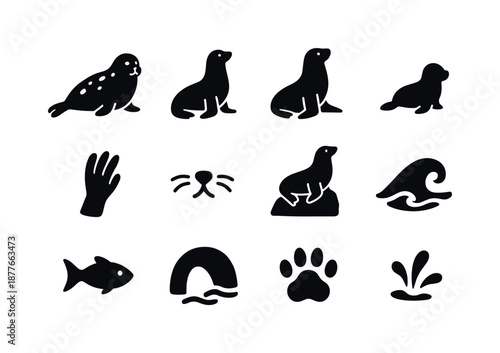 Seal and Sea Lion Icons. Seals and sea lions. Solid icon set of seals and sea lions: harbor seal, sea lion, fur seal, pup silhouette, flipper icon, whisker