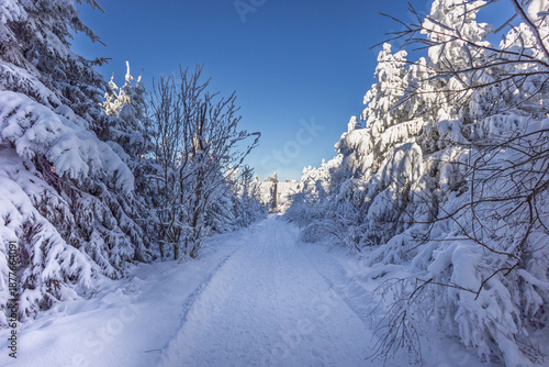 Verschneiter Waldweg im Erzgebirge – Romantische Winterlandschaft bei blauem Himmel