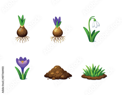 Spring Bulb Icons. Spring Bulb Flowers. Isometric flat vector icons set of Spring Bulb Flowers: snowdrop bulb with roots, crocus bulb with roots, blooming