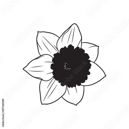 Daffodil flower silhouette vector flat illustration