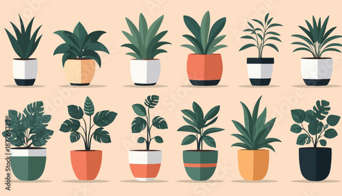 vector of plant on the pot