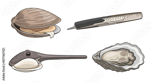 Oyster pearl knife set for gourmet seafood preparation