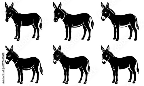 Six black donkey silhouettes on white background animal