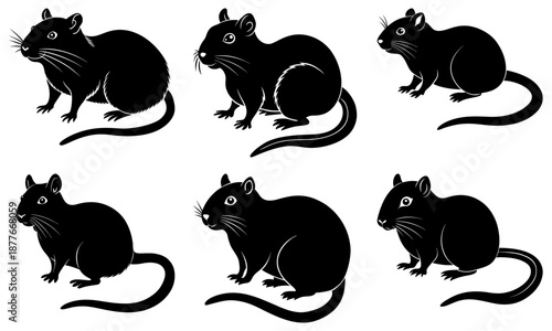 Six black rats standing on white background rodent rodents
