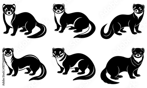 Six Black and White Ferret Silhouettes on White Background animal