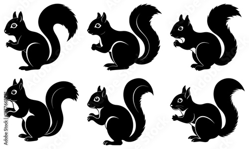 Six Black Squirrels Silhouettes on White Background animal