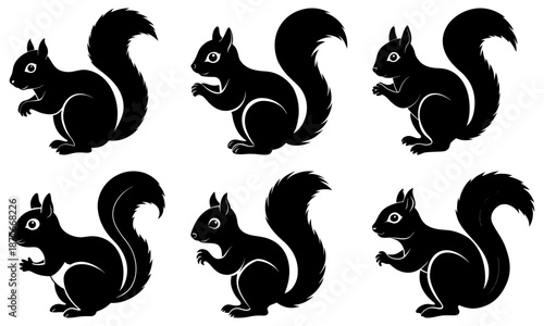Six Black Squirrels Silhouettes on White Background animal 1