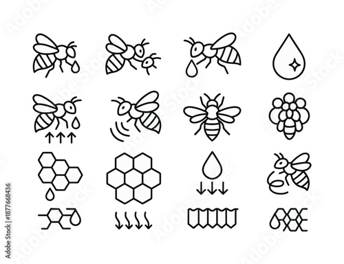Honey Production Icons. How bees make honey. Line icon set of in-hive processing: nectar handoff, bee-to-bee transfer, crop-to-cell deposit, enzyme drop