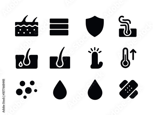 Skin Function Icons. The function of the skin. Solid icon set of the function of the skin: skin layers, epidermis icon, dermis icon, protective barrier shield,