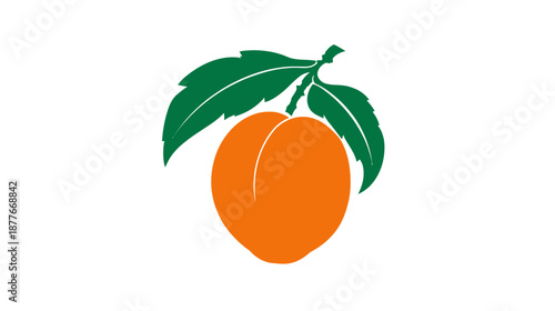 A vibrant orange fruit illustration with green leaves against a plain white background