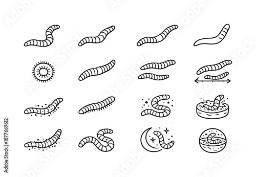 Worm Species Icons. Worms. Line icon set of worm species features: segmented body, tapered end, clitellum band, smooth skin texture, circular mouth opening,
