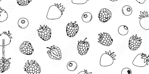A collection of various berries, drawn in a simple, illustrative style with clean lines and a white background