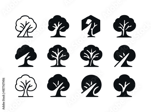 Light Ray Logos. light ray through trees. Icon set. Set Logo of light ray through trees: canopy with light shaft. harmonious logo variations of the same