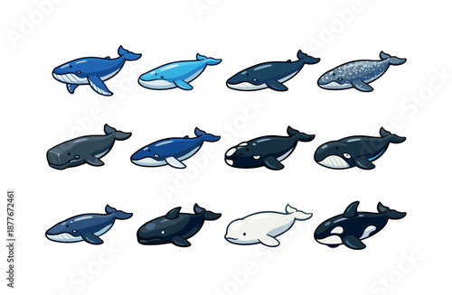 Colorful Whale Icons Set. Botanical wreath and frame illustration. Modern minimal floral frames with soft leaves and flowers arranged in a harmonious