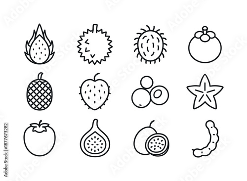 Exotic Fruit Icons. Exotic fruits. Line icon set of Exotic fruits: dragon fruit, durian, rambutan, mangosteen, jackfruit, soursop, longan, starfruit,