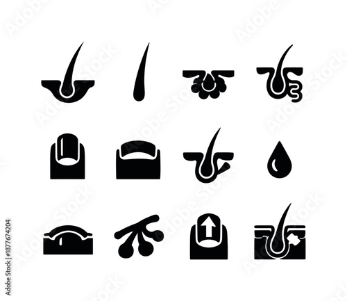 Skin Appendages Icons. Skin appendages. Solid icon set of skin appendages: hair follicle, hair shaft, sebaceous gland, sweat gland, nail plate, nail bed,