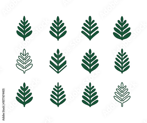 Fern Logo Variations. Fern. Icon set. Set Logo of fern: fern leaf vein pattern. harmonious logo variations of the same emblematic concept, each with different