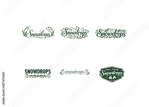 Spring Snowdrop Lettering. Early Spring Snowdrops. Set lettering. harmonious lettering variations of the same emblematic concept, each with different artistic