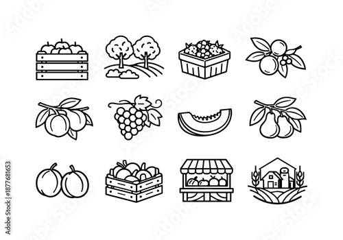 Farm Fresh Icons. Farm fresh fruits. Line icon set of Farm fresh fruits: apple crate, orchard fruit, berry basket, citrus sprig, peach branch, grapevine
