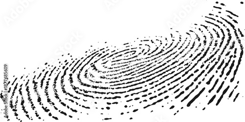 fingerprint on white background.