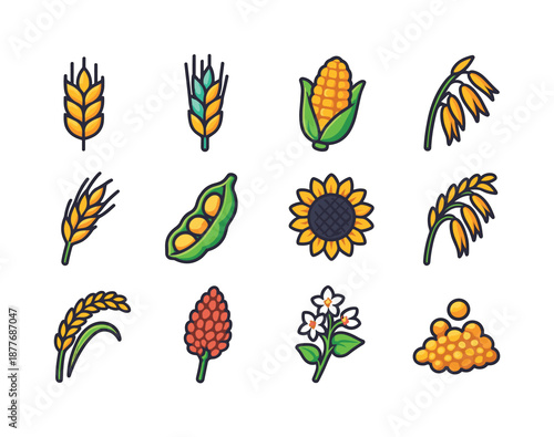 Colorful Crop Icons. Crops. Colorful isometric vector icons set of crops: wheat head, barley spike, corn ear, oats cluster, rye stalk, soybeans pod, sunflower